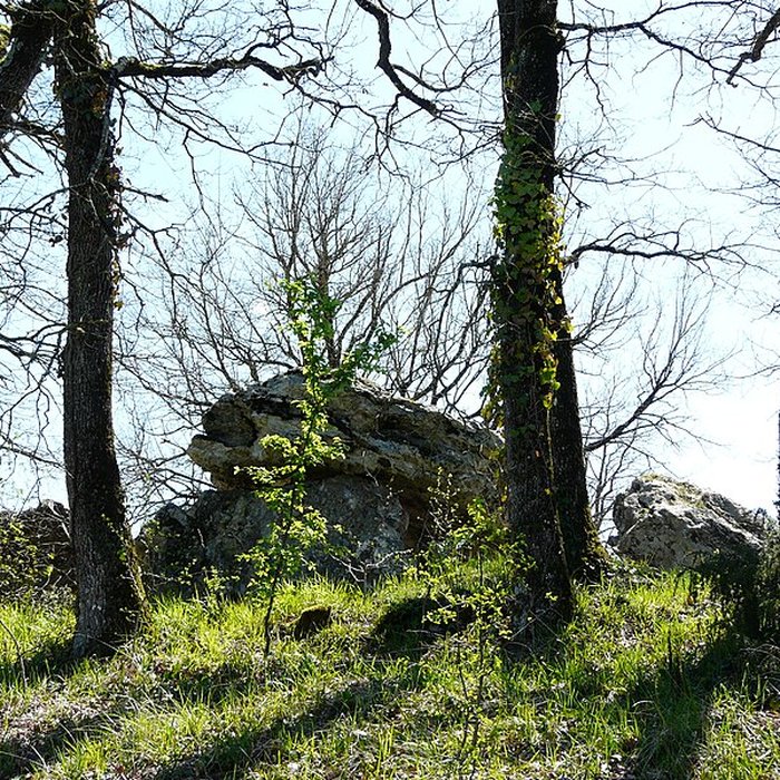 Photo de Allée couverte du Blanc de Nojals-et-Clotte