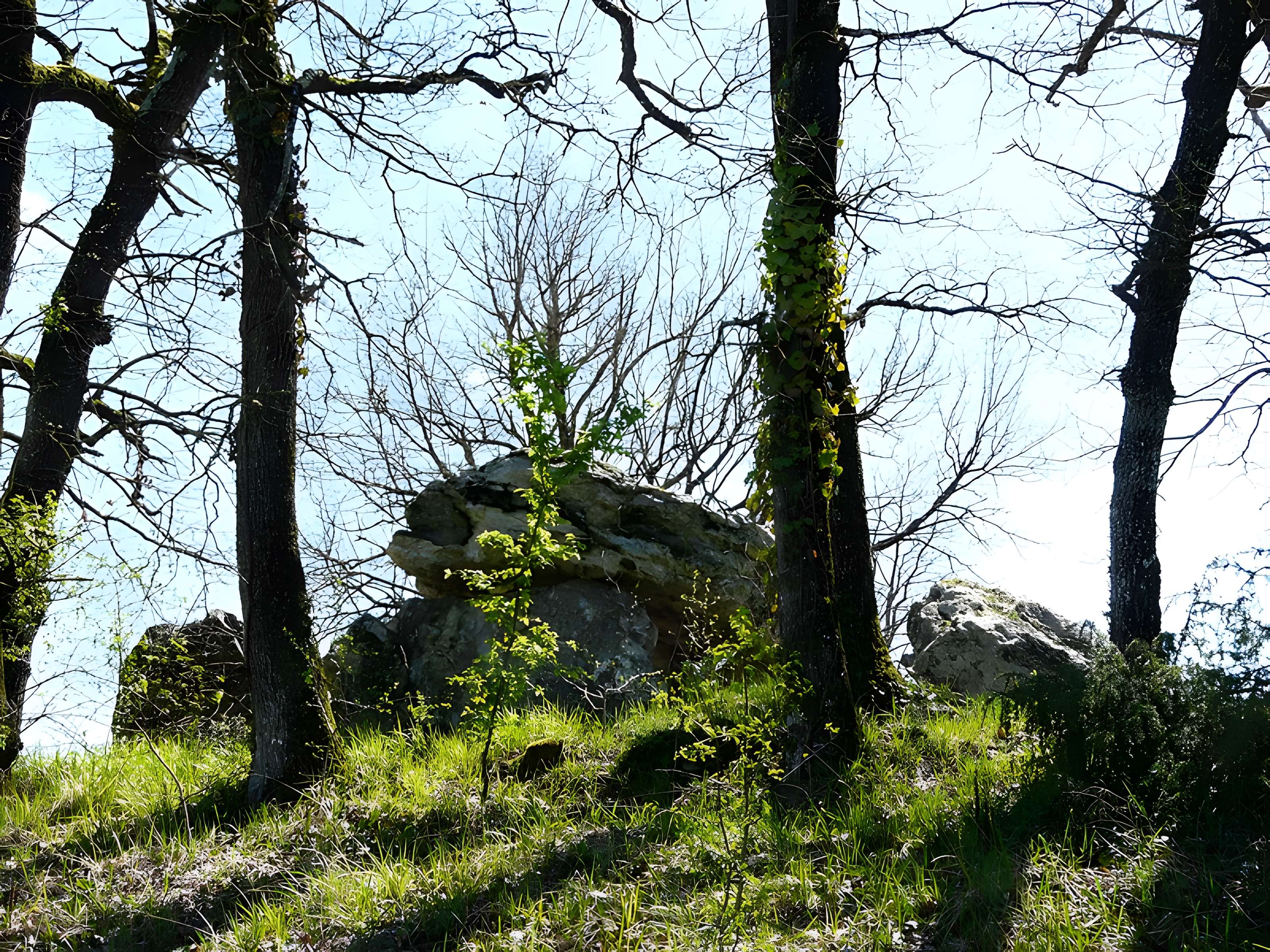 Allée couverte du Blanc de Nojals-et-Clotte