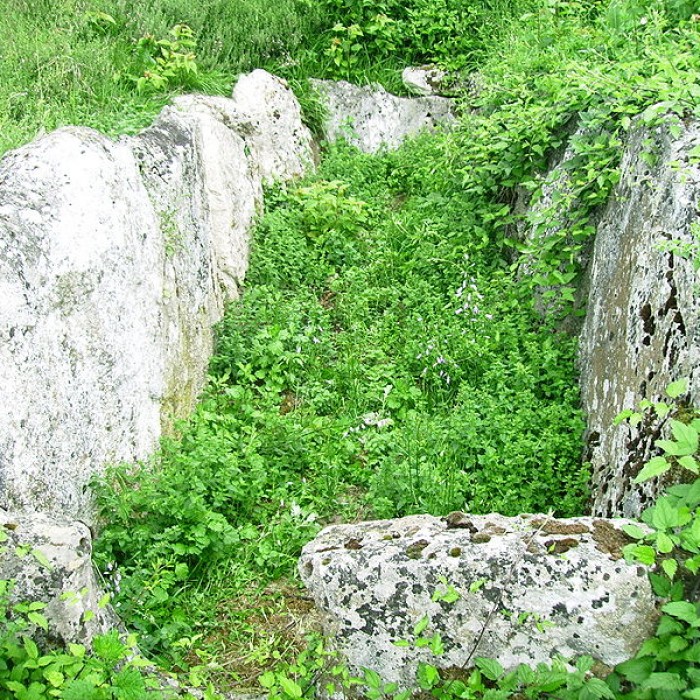 Photo de Allée couverte du Blanc Val à Presles