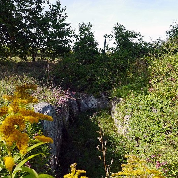 Photo de Allée couverte du Blanc Val à Presles