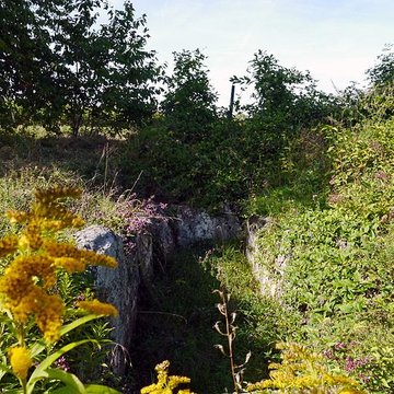 Allée couverte du Blanc Val à Presles