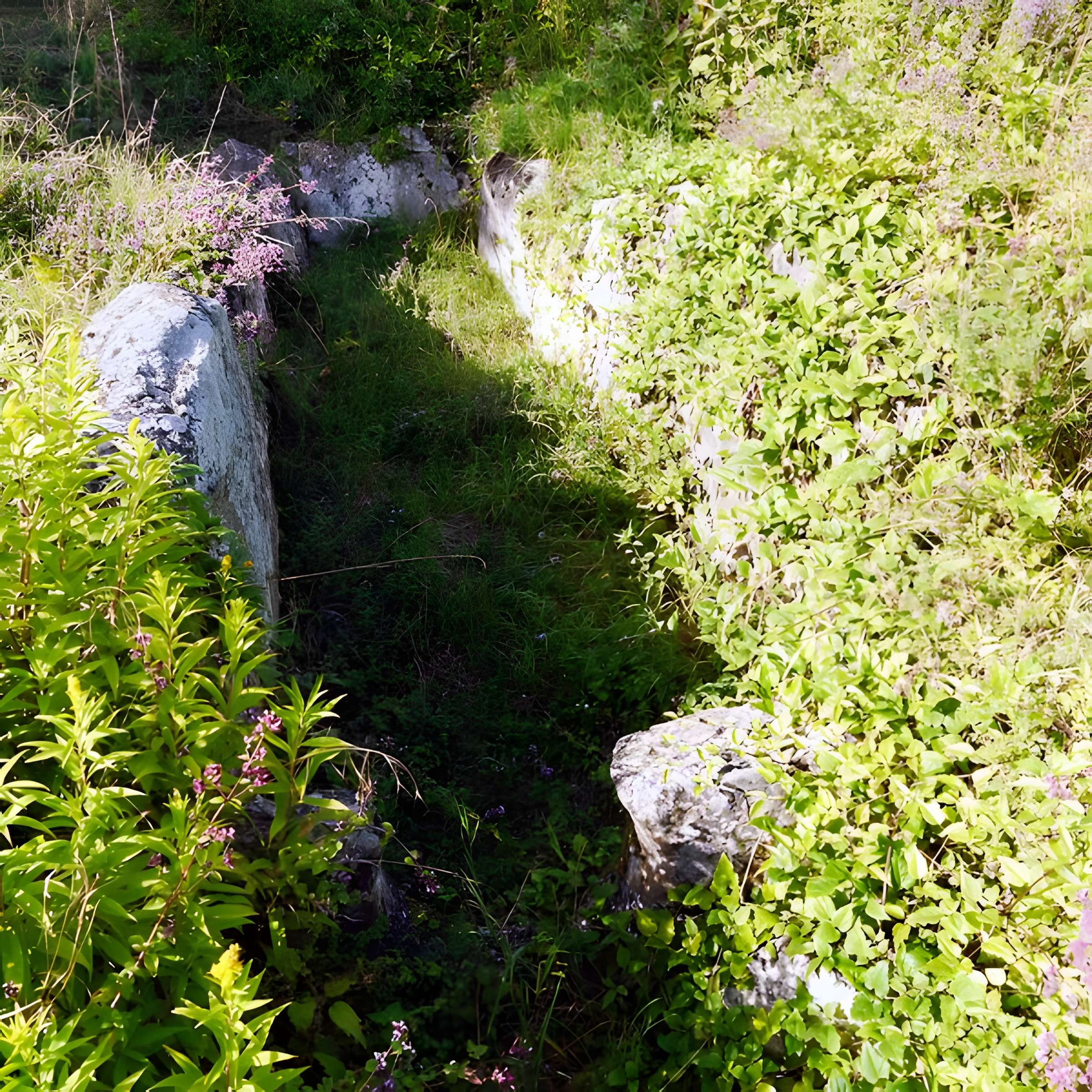 Allée couverte du Blanc Val à Presles