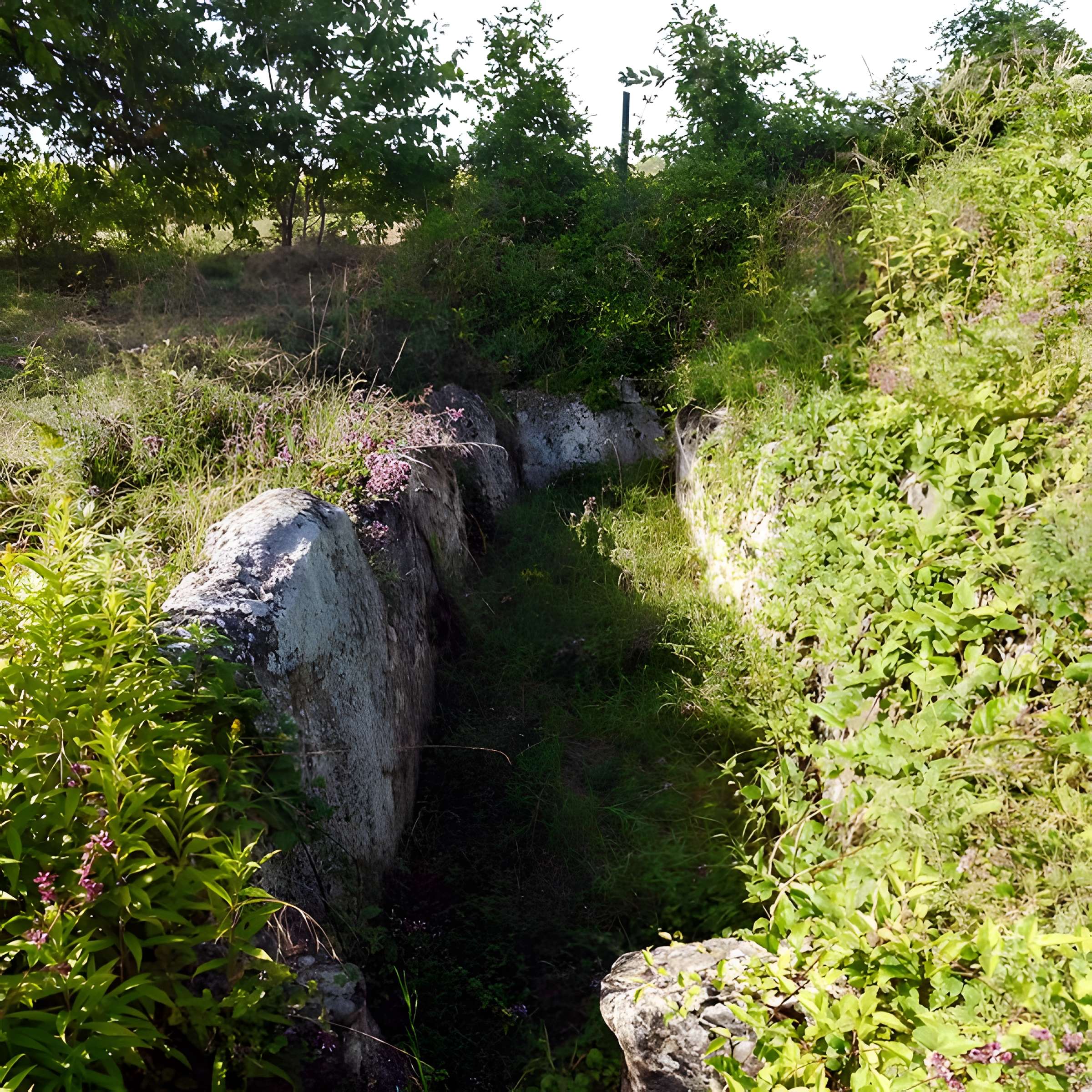 Allée couverte du Blanc Val à Presles