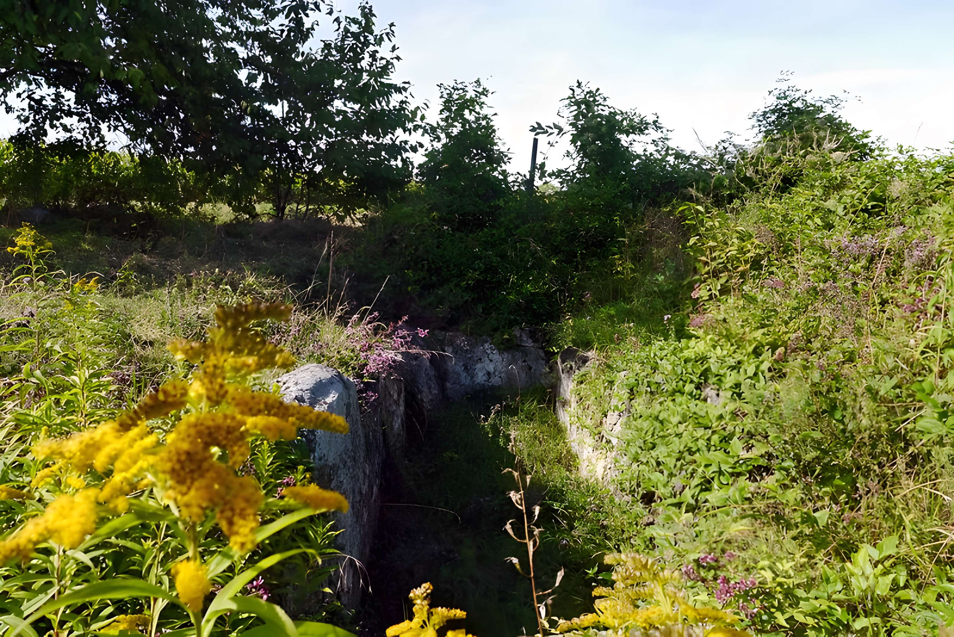 Allée couverte du Blanc Val à Presles