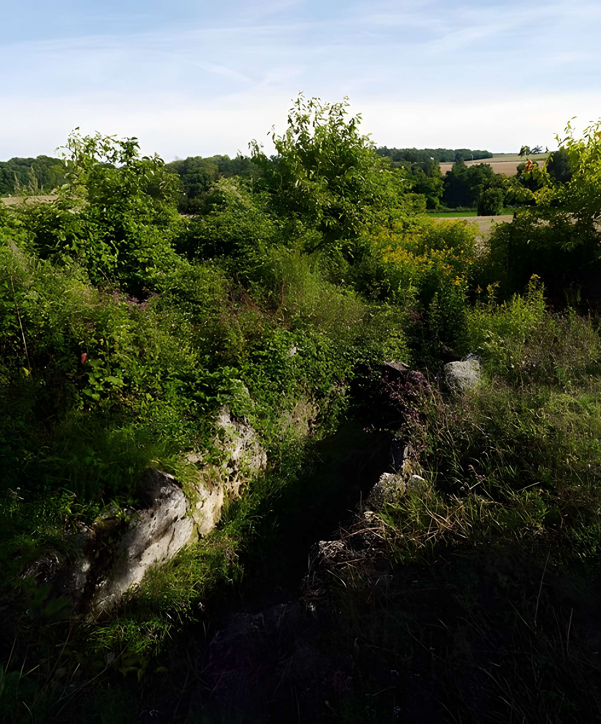Allée couverte du Blanc Val à Presles