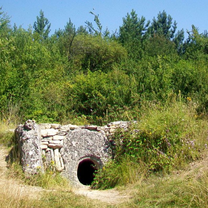 Photo de Allée sépulcrale couverte néolithique dite du Bois Couturier