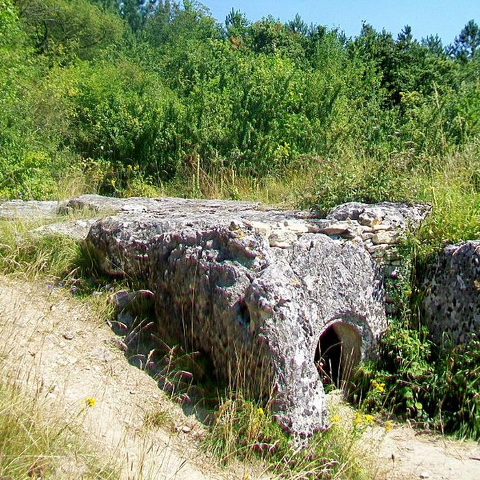Photo de Allée sépulcrale couverte néolithique dite du Bois Couturier
