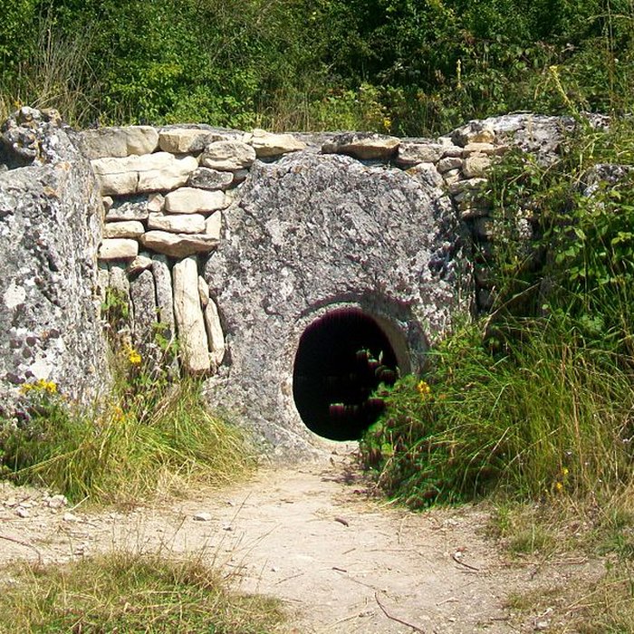 Photo de Allée sépulcrale couverte néolithique dite du Bois Couturier