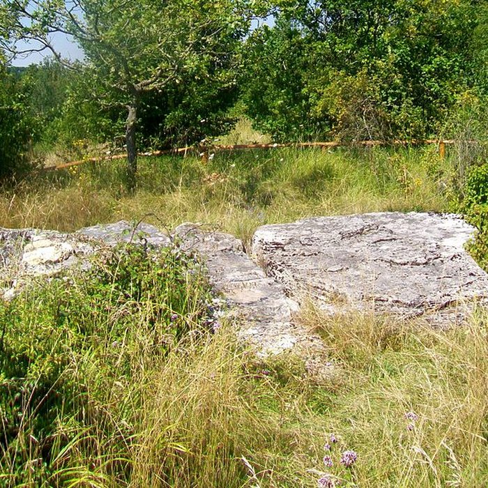 Photo de Allée sépulcrale couverte néolithique dite du Bois Couturier