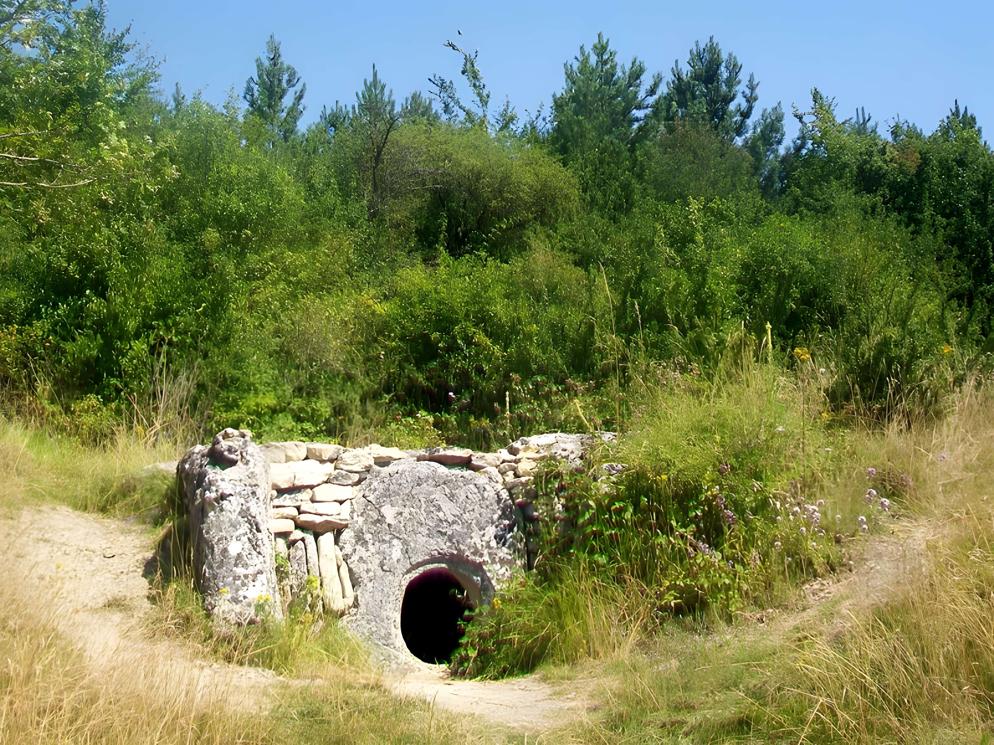 Allée couverte du Bois-Couturier à Guiry-en-Vexin 