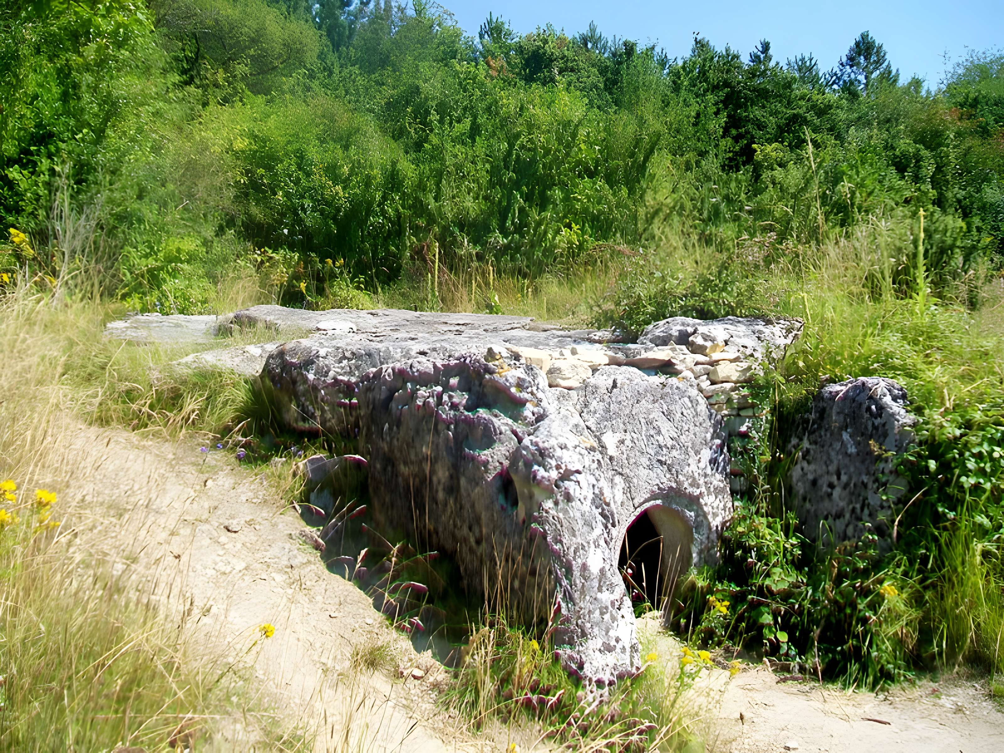 Allée sépulcrale couverte néolithique dite du Bois Couturier