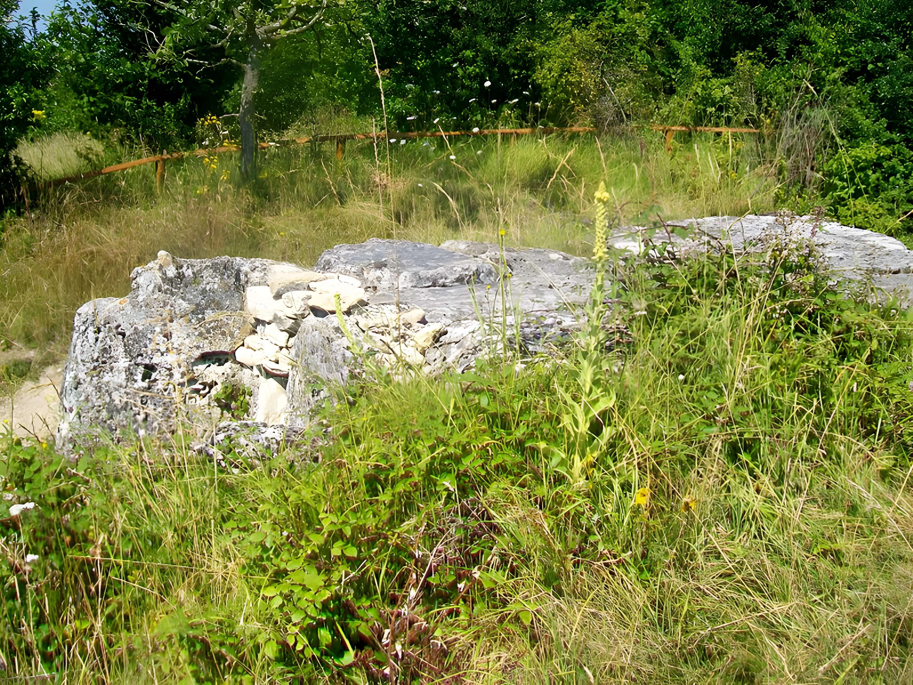 Allée sépulcrale couverte néolithique dite du Bois Couturier