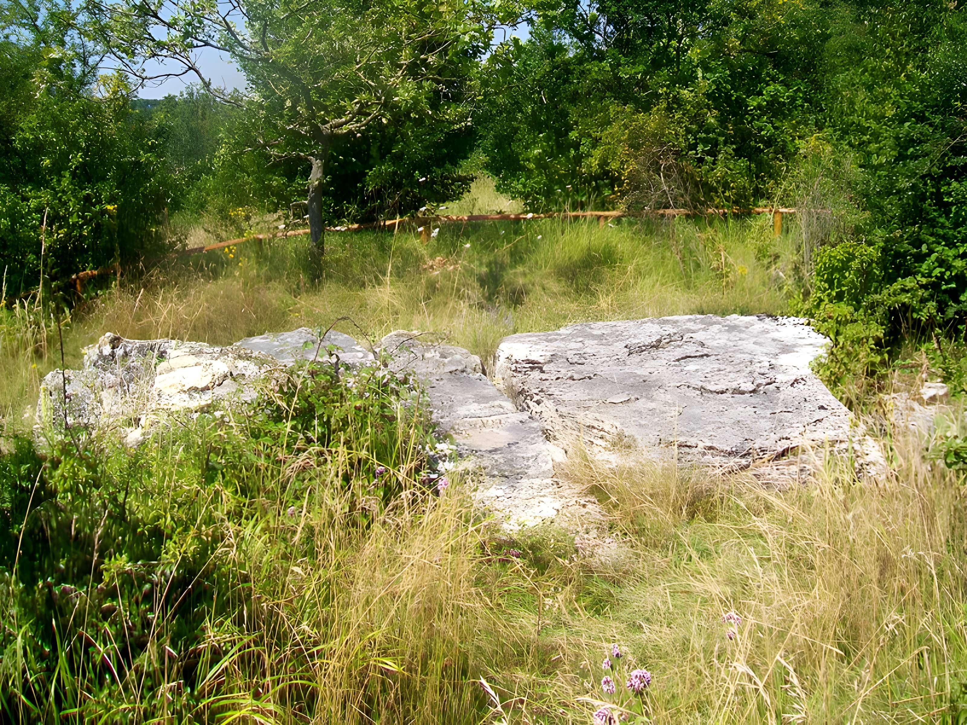 Allée sépulcrale couverte néolithique dite du Bois Couturier