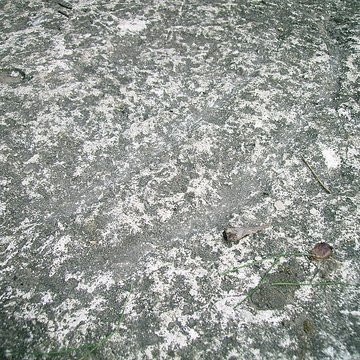 Allée couverte du cimetière aux Anglais à Vauréal