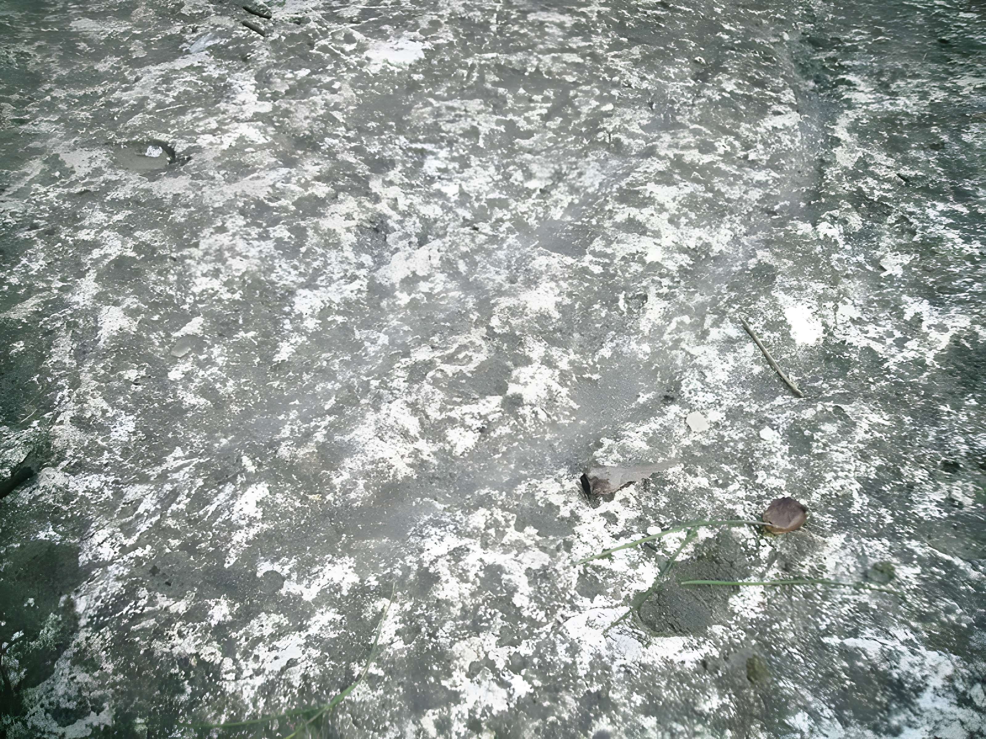 Allée couverte du cimetière aux Anglais à Vauréal