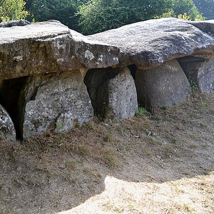 Photo de Allée couverte du Mougau-Bihan à Commana