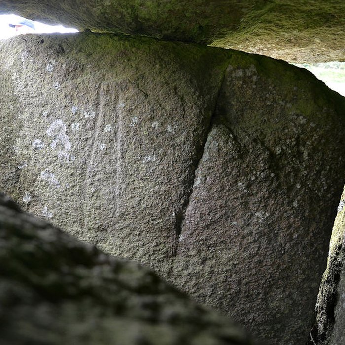 Photo de Allée couverte du Mougau-Bihan à Commana