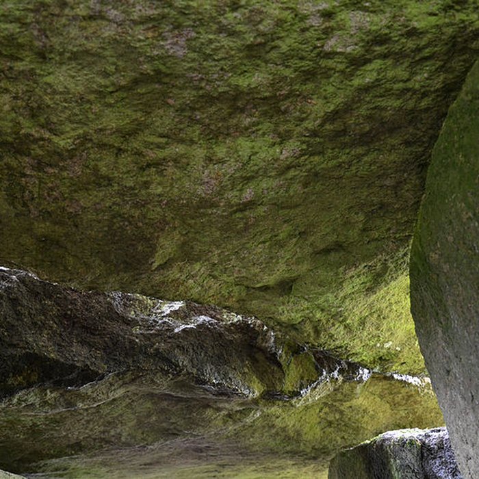 Photo de Allée couverte du Mougau-Bihan à Commana
