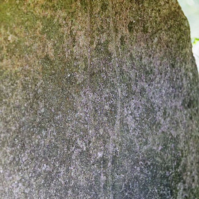 Photo de Allée couverte du Mougau-Bihan à Commana