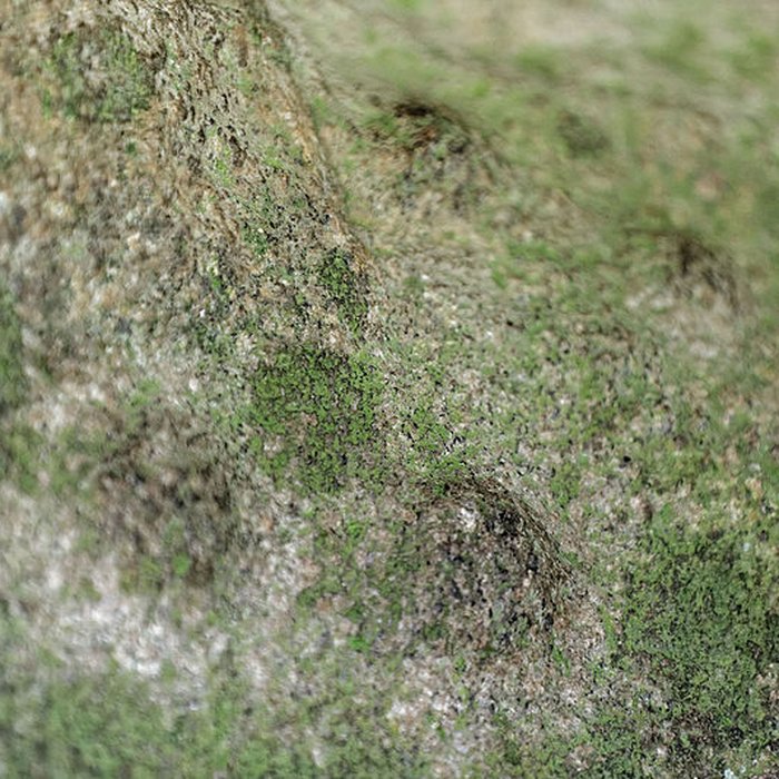 Photo de Allée couverte du Mougau-Bihan à Commana