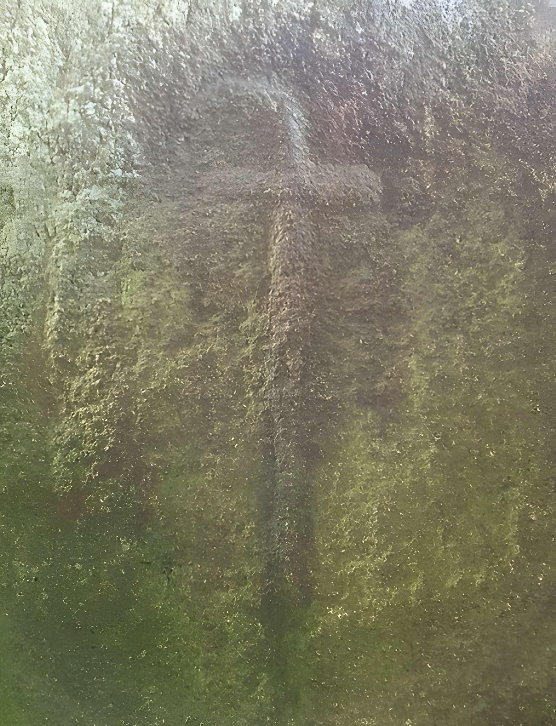 Allée couverte du Mougau-Bihan à Commana