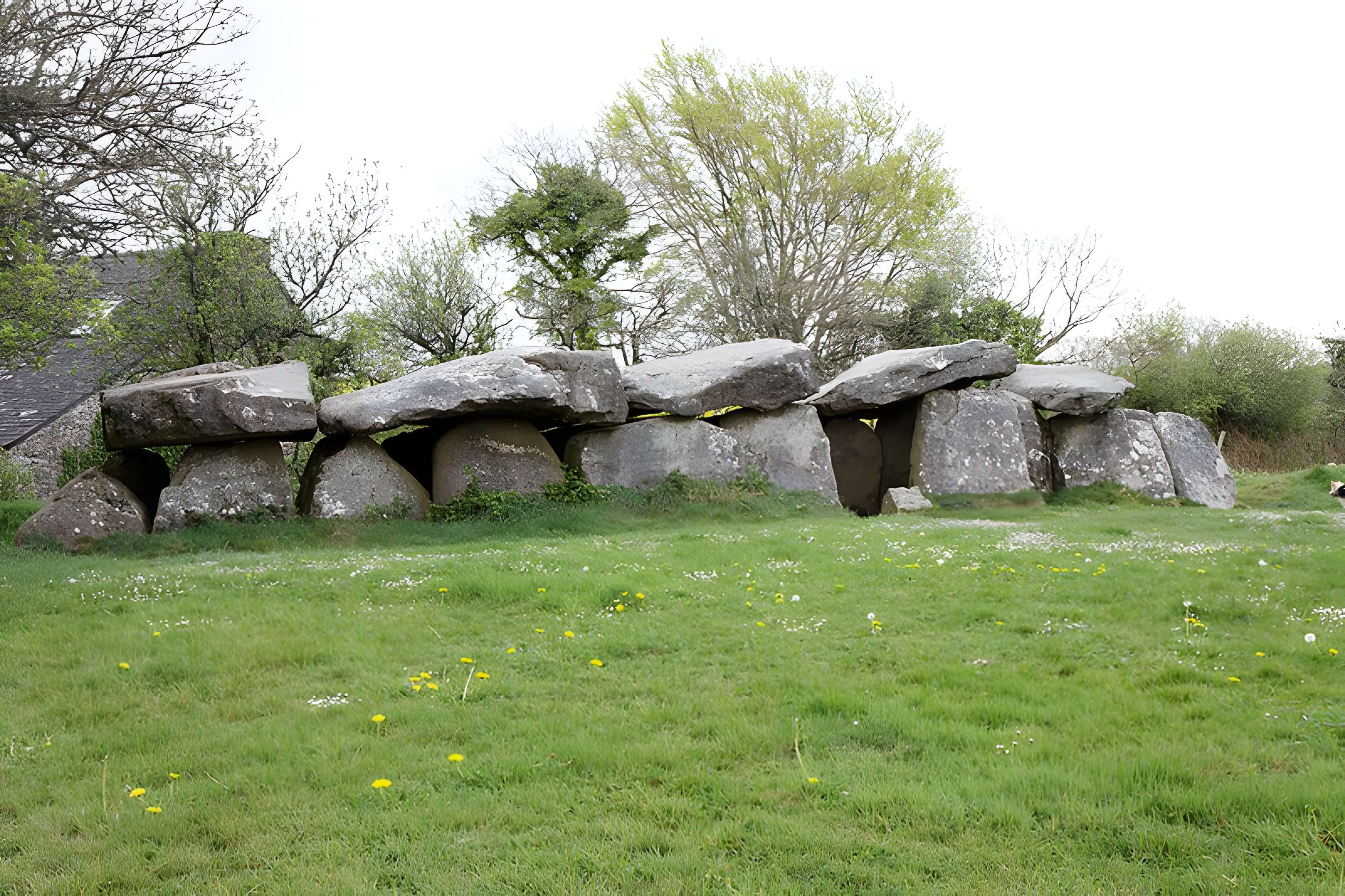 Allée couverte du Mougau-Bihan à Commana