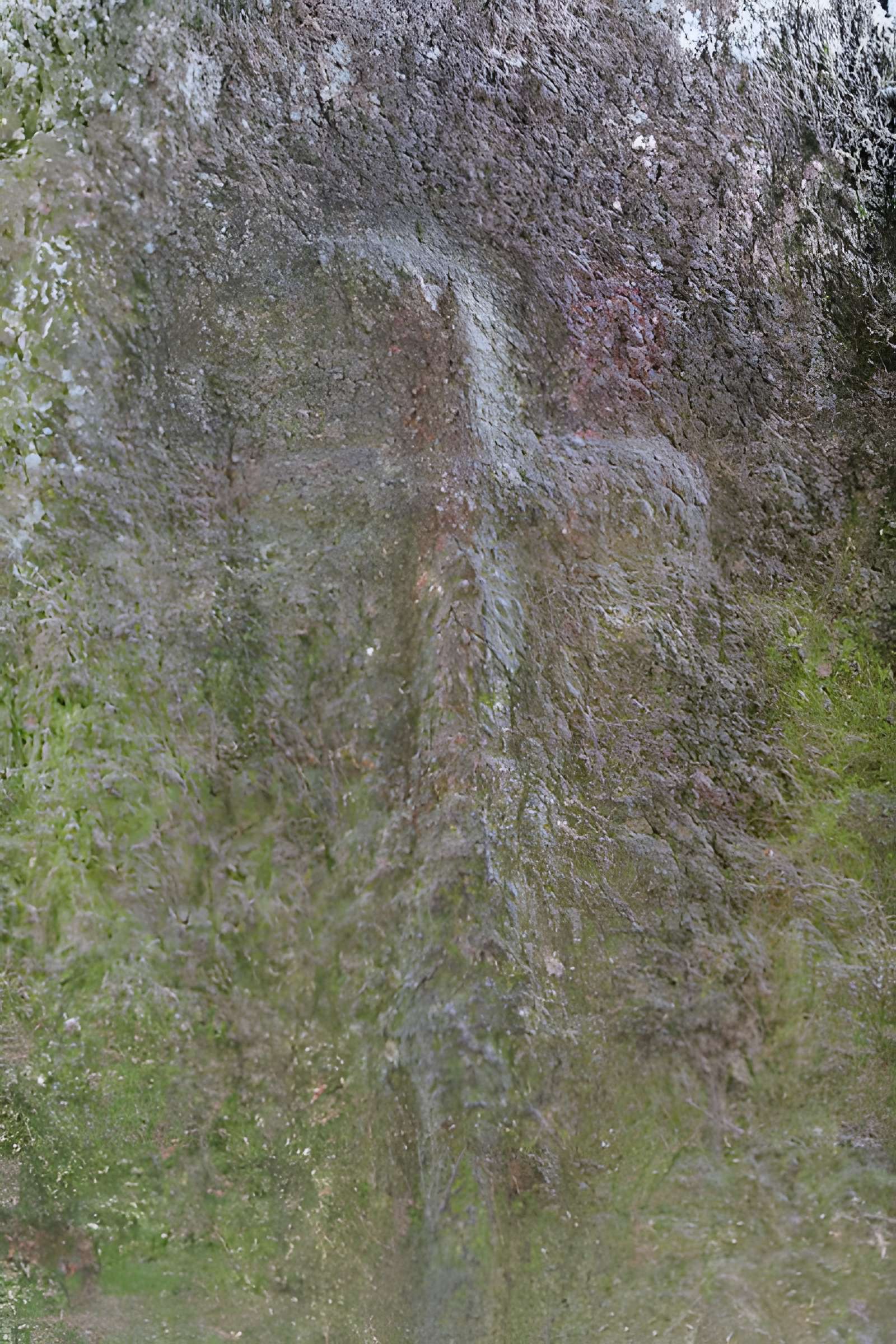 Allée couverte du Mougau-Bihan à Commana