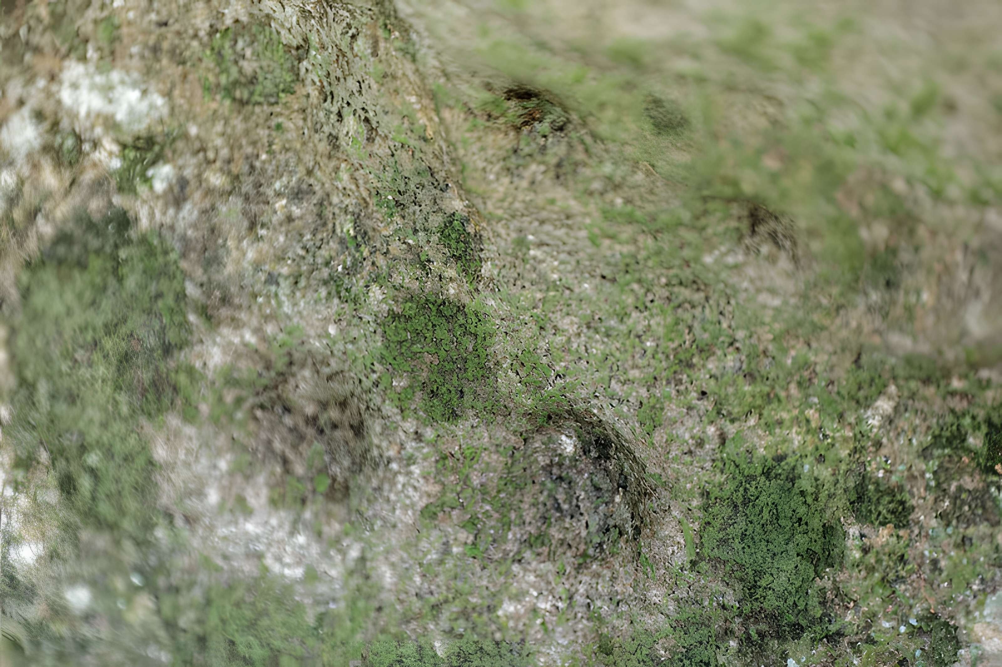 Allée couverte du Mougau-Bihan à Commana