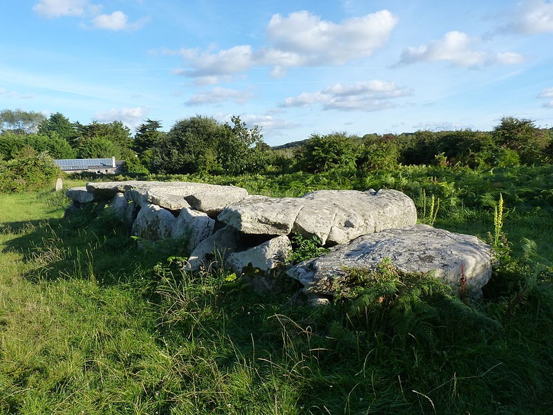 Photo de Allée couverte et menhir de Prajou-Menhir