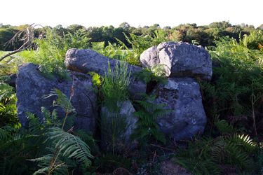 Photo de Allée couverte et menhirs indicateurs de Saint-André à Plédéliac