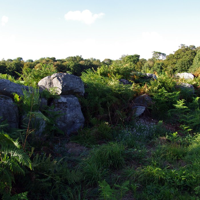 Photo de Allée couverte et alignement de menhirs indicateurs de Saint-André