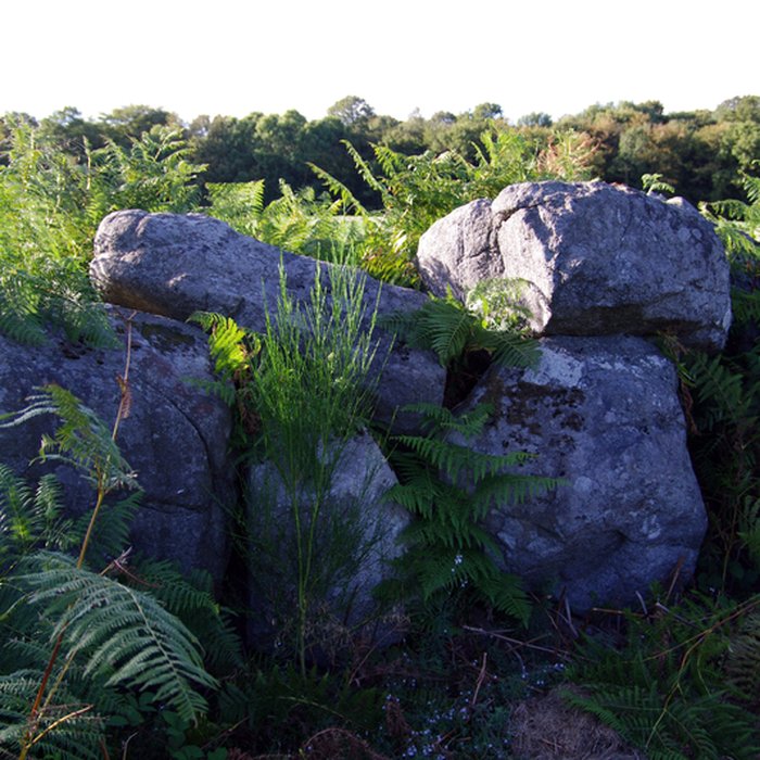 Photo de Allée couverte et alignement de menhirs indicateurs de Saint-André