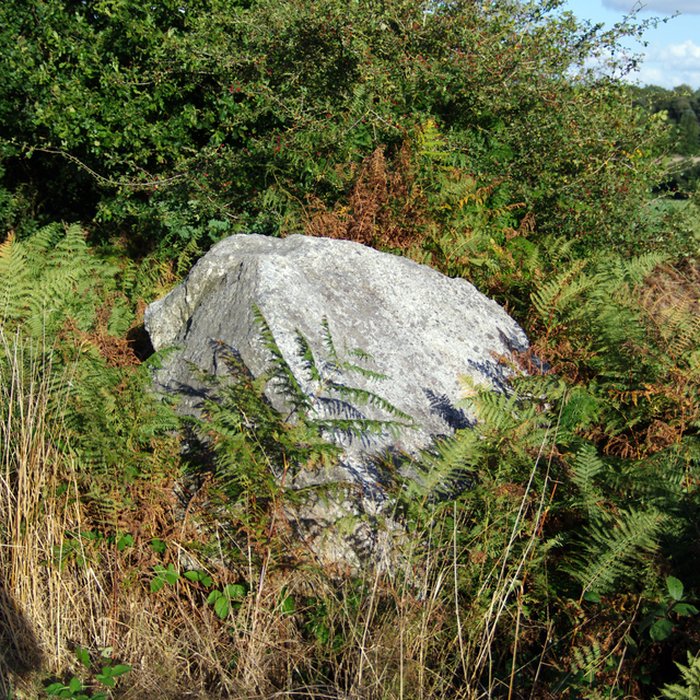 Photo de Allée couverte et alignement de menhirs indicateurs de Saint-André