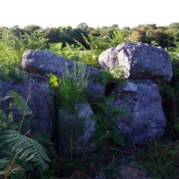 Allée couverte et alignement de menhirs indicateurs de Saint-André