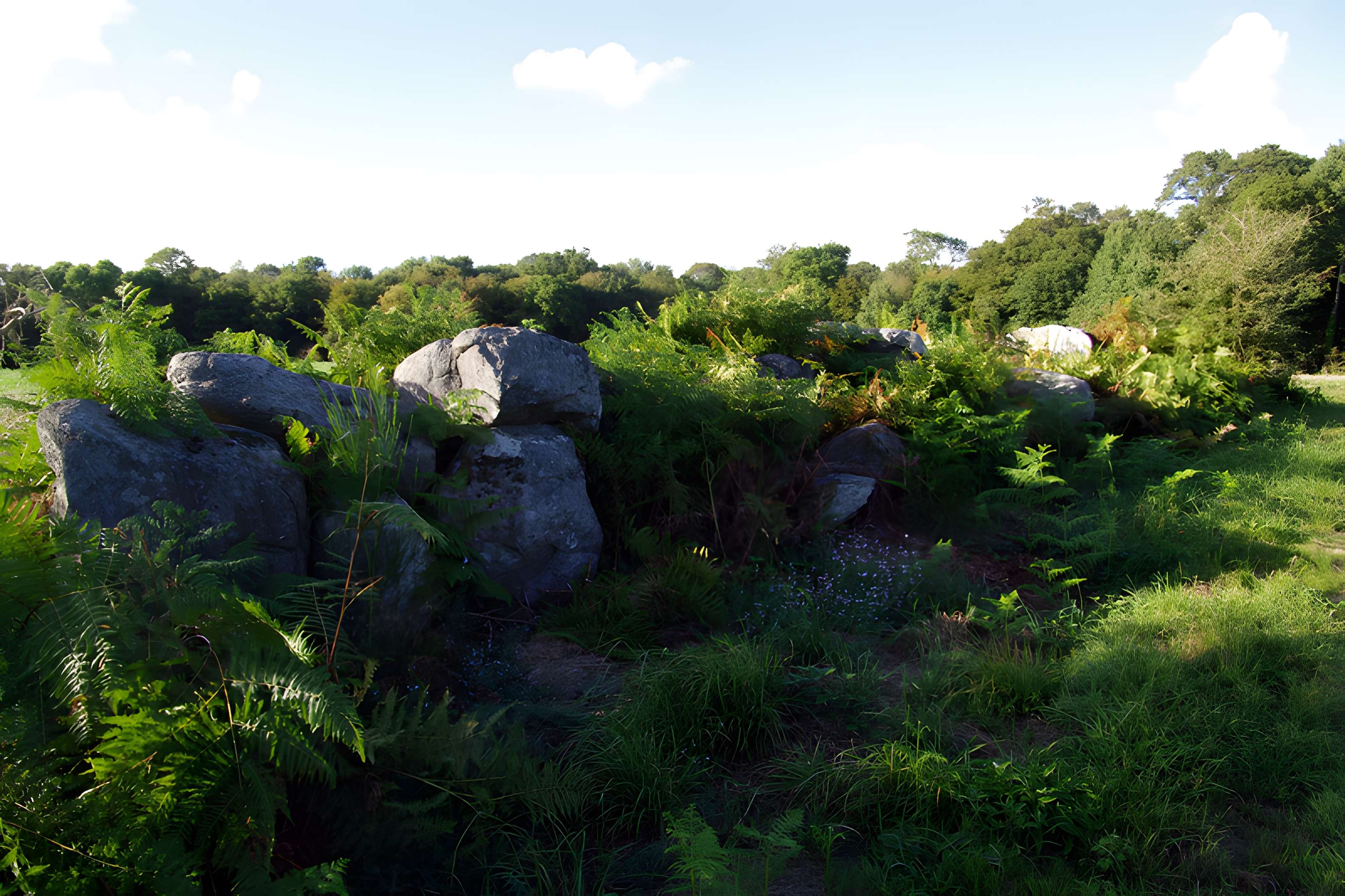 Allée couverte et alignement de menhirs indicateurs de Saint-André