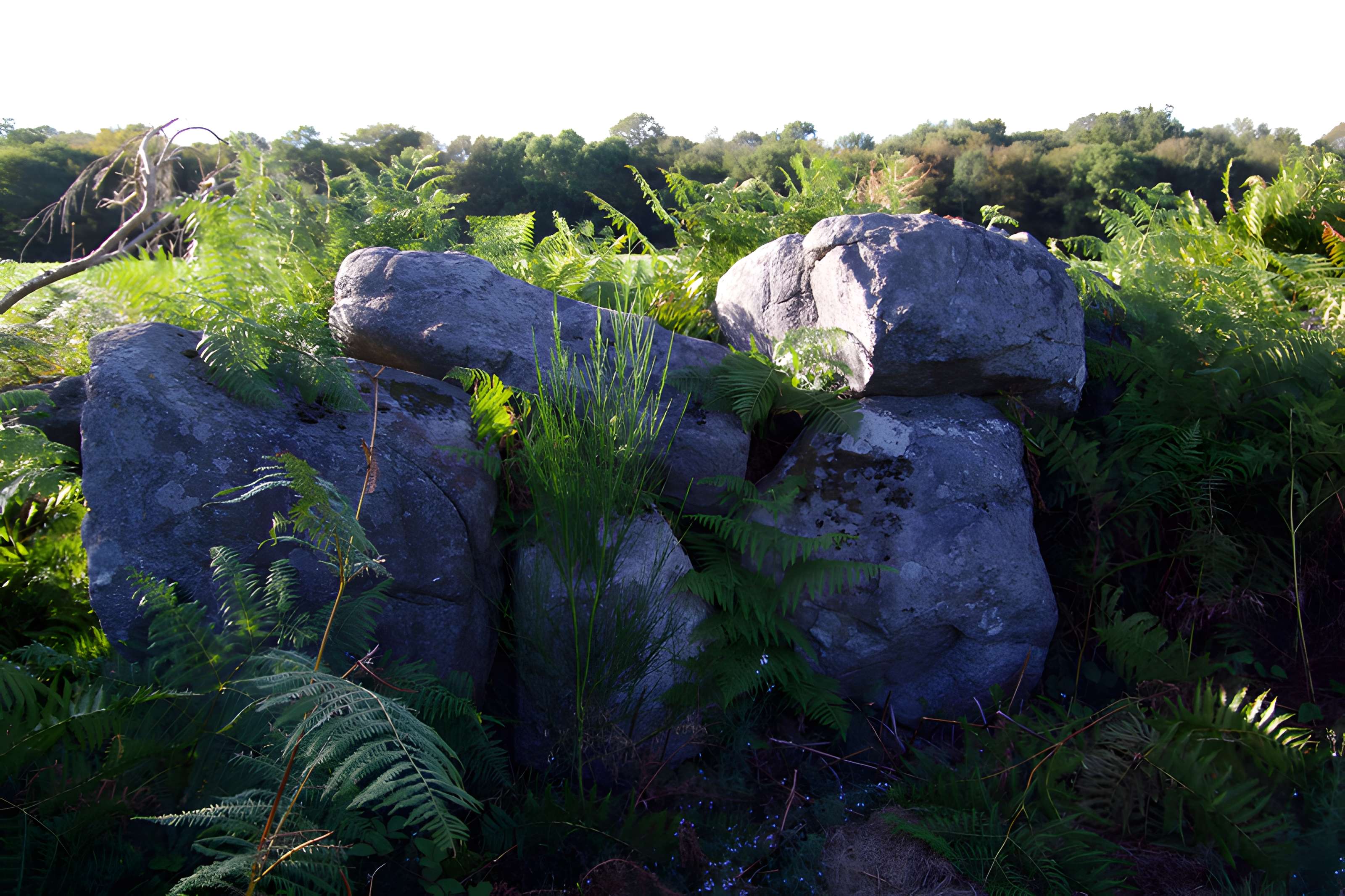 Allée couverte et alignement de menhirs indicateurs de Saint-André
