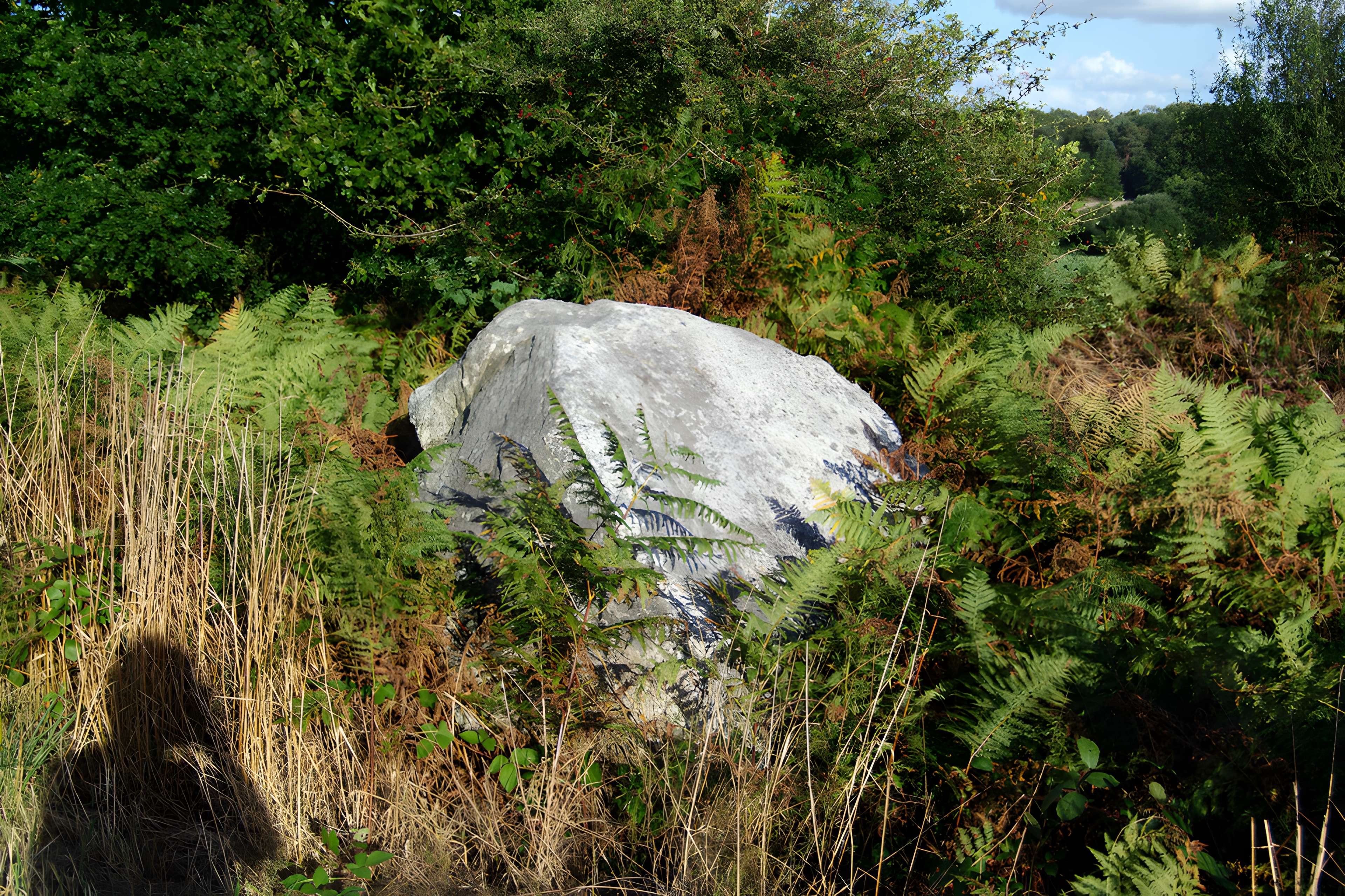 Allée couverte et alignement de menhirs indicateurs de Saint-André