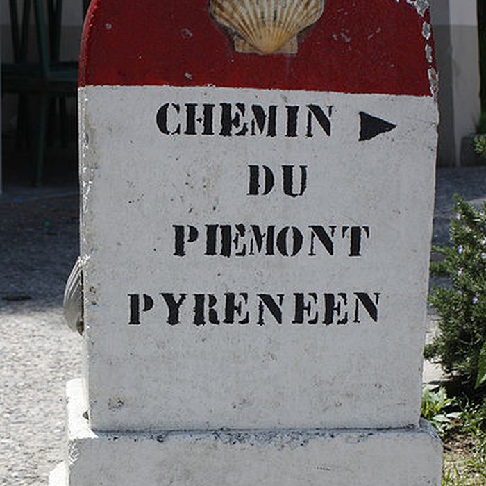 Photo de Collégiale Saint-Vincent de Montréal