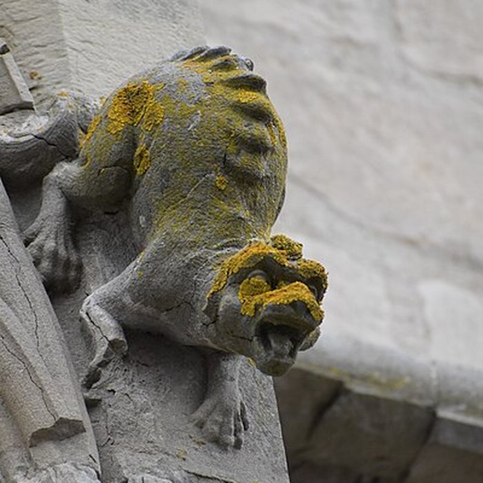 Photo de Collégiale Saint-Vincent de Montréal