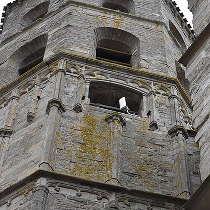 Photo de Collégiale Saint-Vincent de Montréal