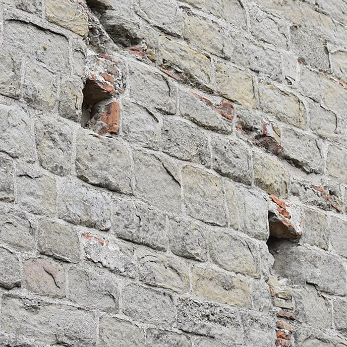 Photo de Collégiale Saint-Vincent de Montréal