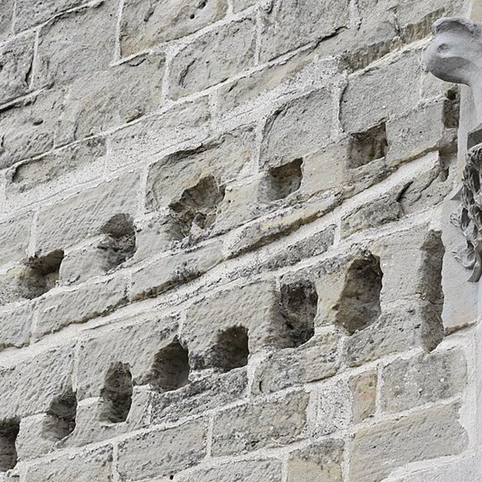 Photo de Collégiale Saint-Vincent de Montréal