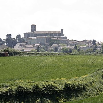 Collégiale Saint-Vincent de Montréal