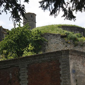 Collégiale Saint-Vincent de Montréal