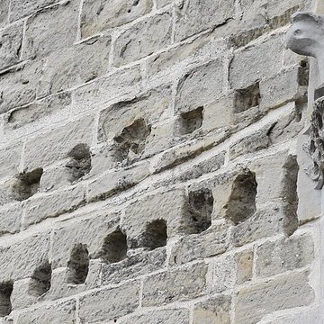 Collégiale Saint-Vincent de Montréal