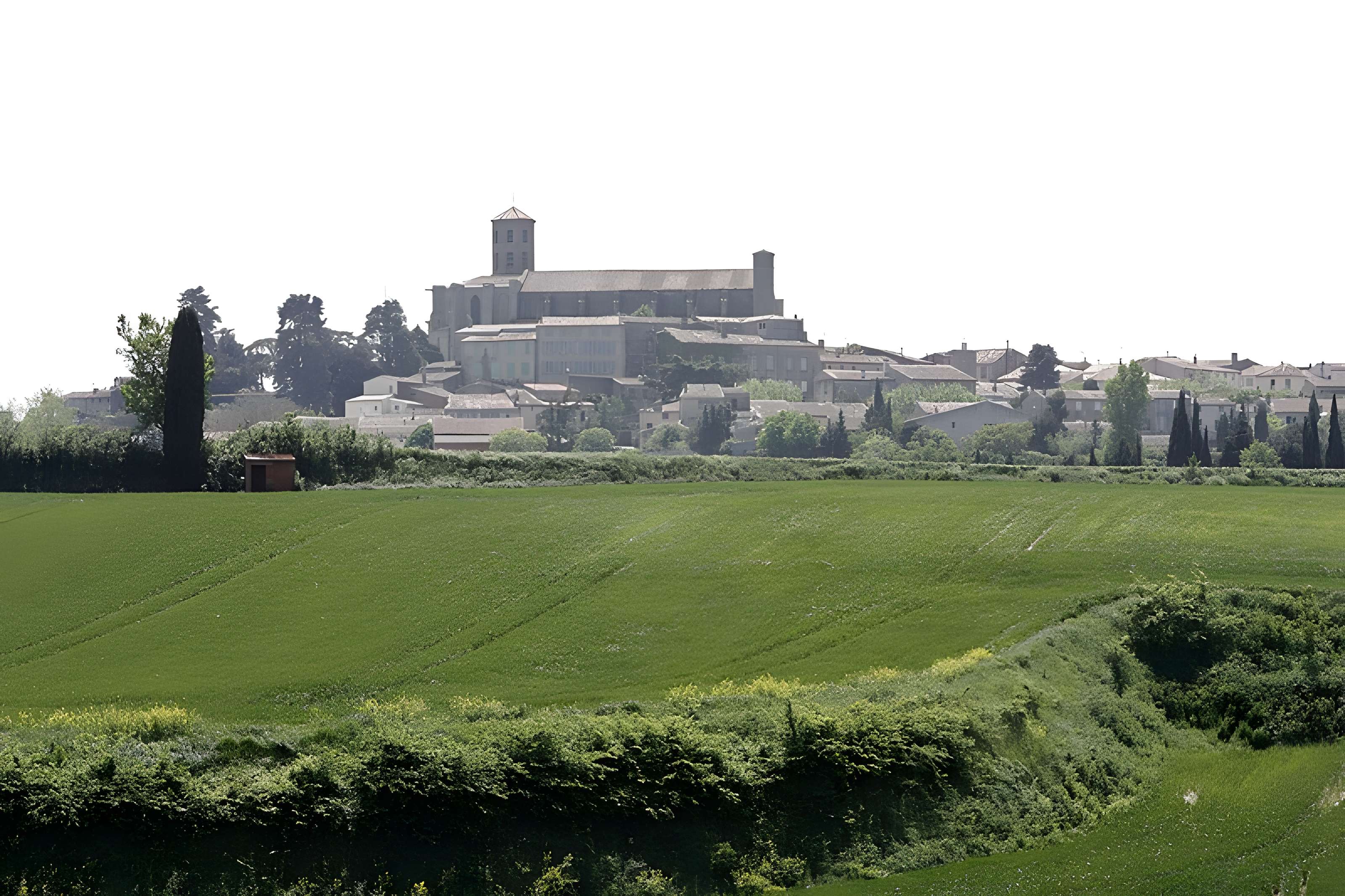 Collégiale Saint-Vincent de Montréal