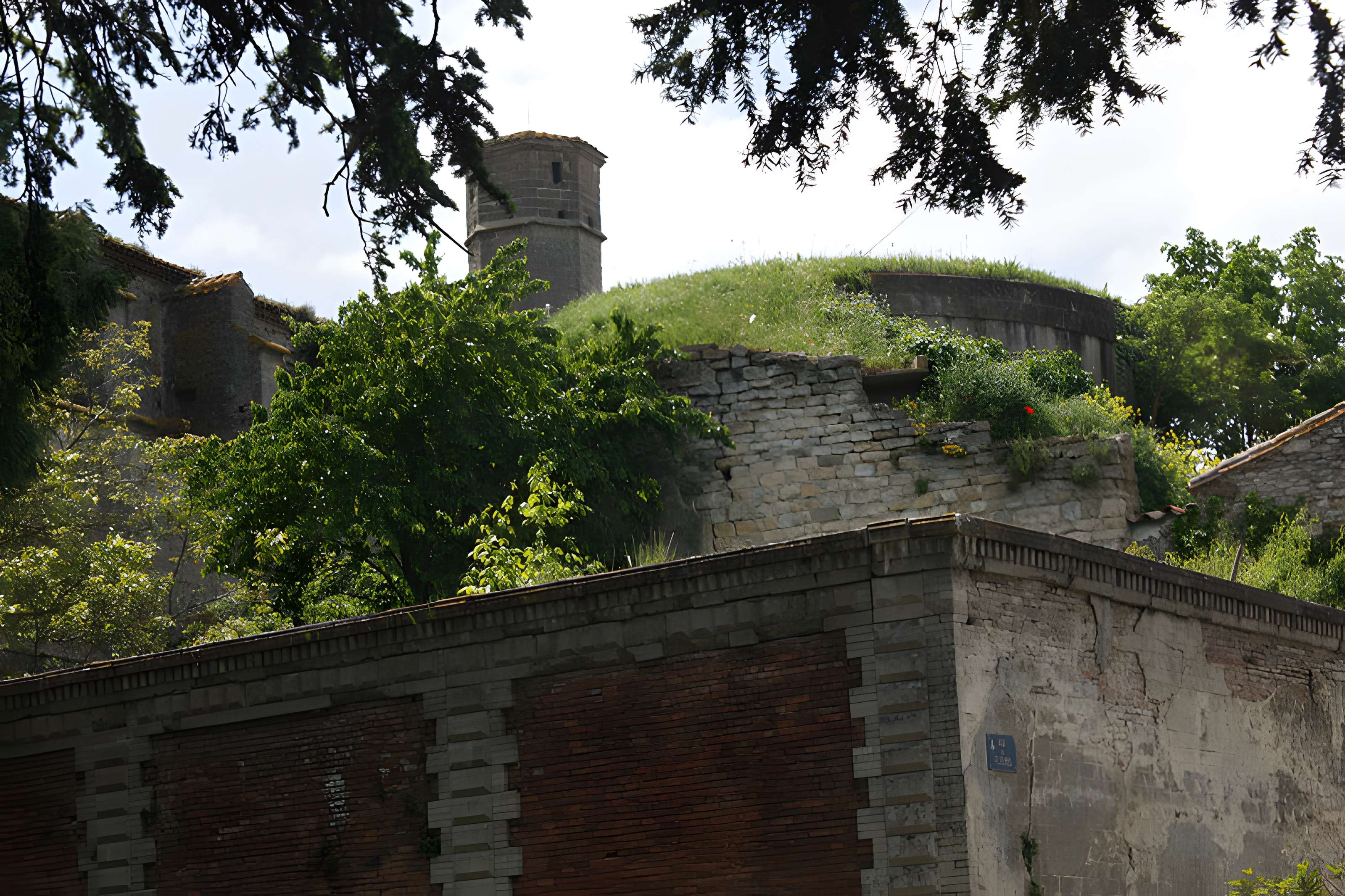 Collégiale Saint-Vincent de Montréal