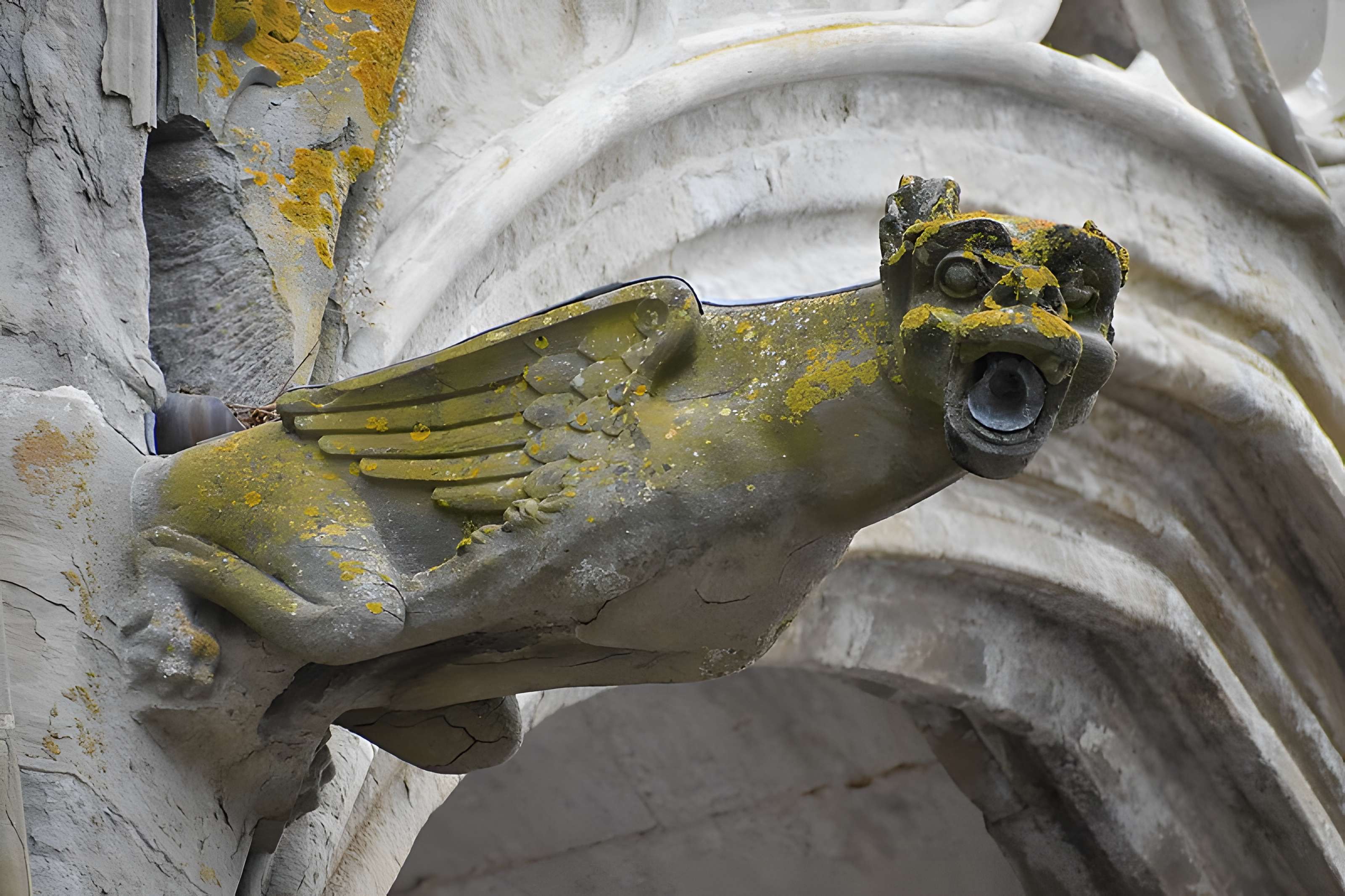 Collégiale Saint-Vincent de Montréal