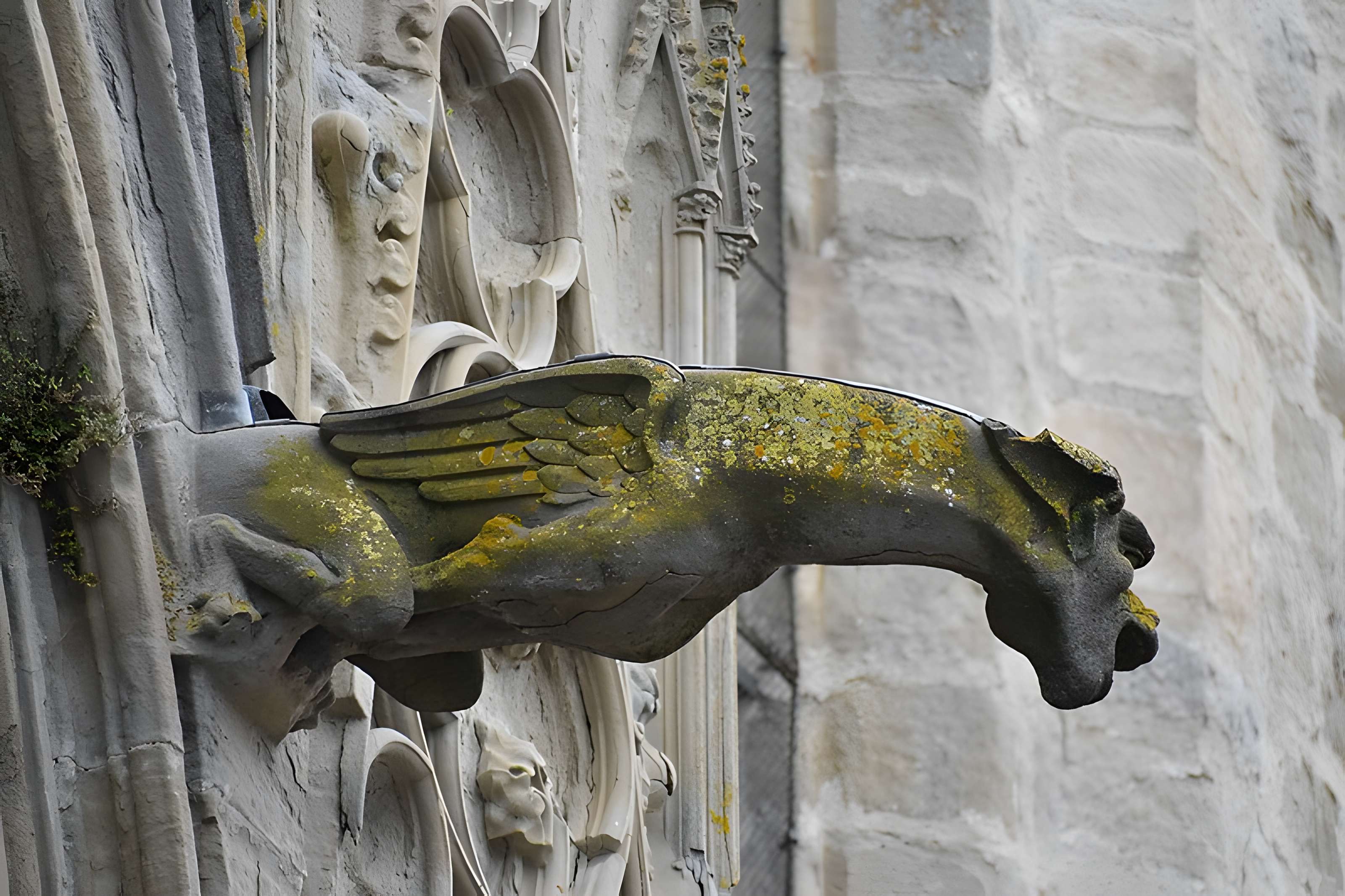 Collégiale Saint-Vincent de Montréal