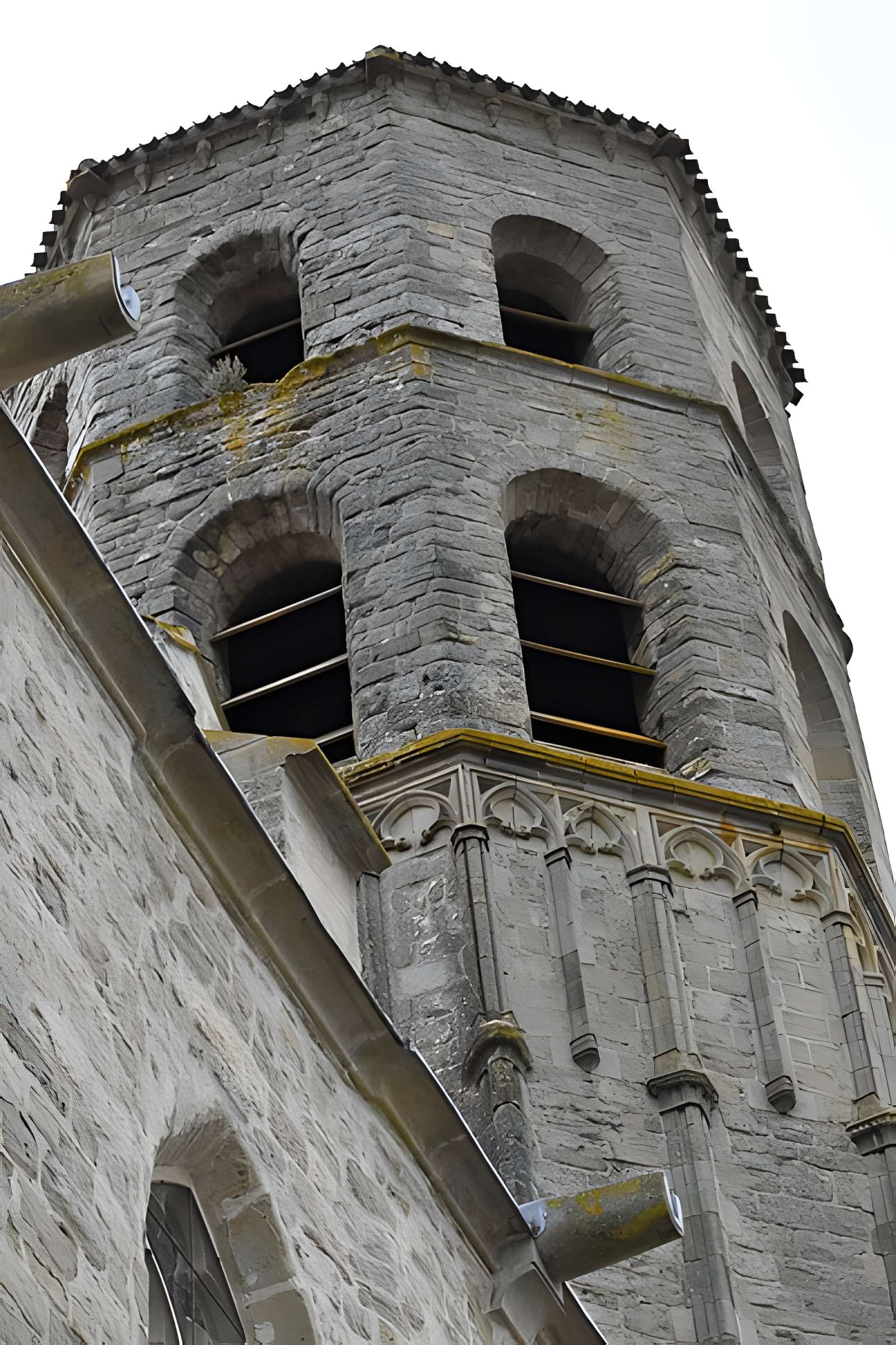 Collégiale Saint-Vincent de Montréal